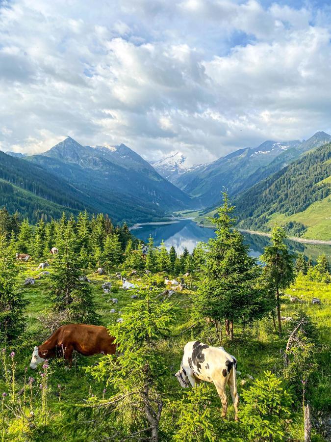 Апартаменты Schmezlhof Цель-ам-Циллер Экстерьер фото